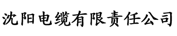 污黄色视频网站电缆厂logo